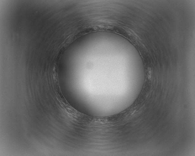 X0000072960915200607211000