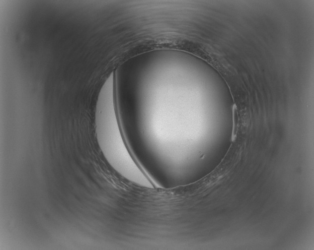 X0000072960916200607211000
