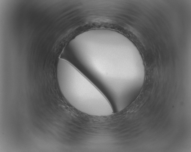 X0000072960919200607211000