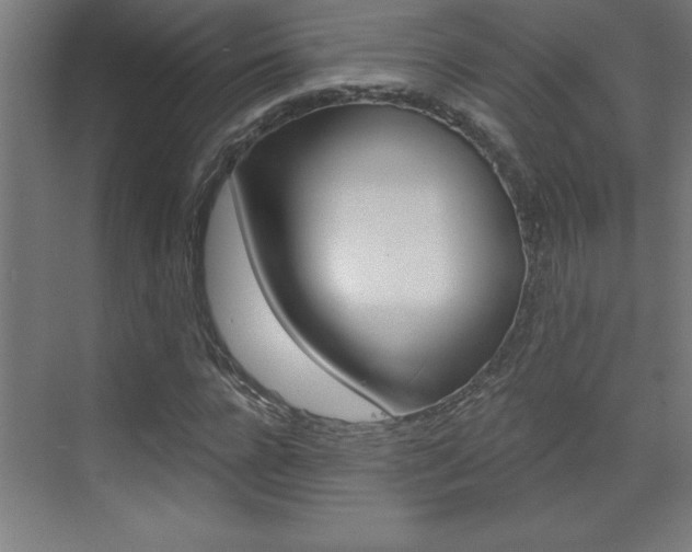 X0000072960920200607211000