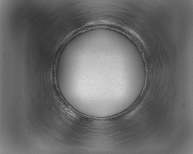 X0000072960921200607211001