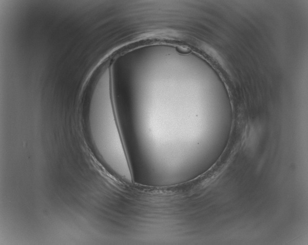X0000072960923200607211001