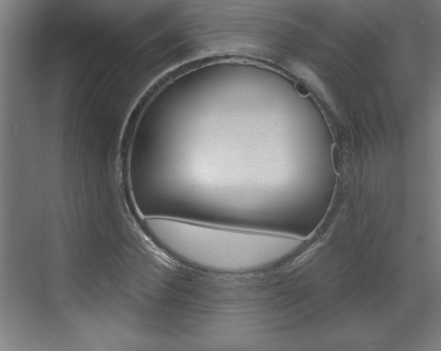 X0000072960924200607211001