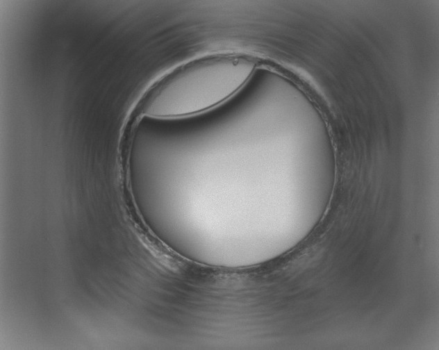 X0000072960927200607211001