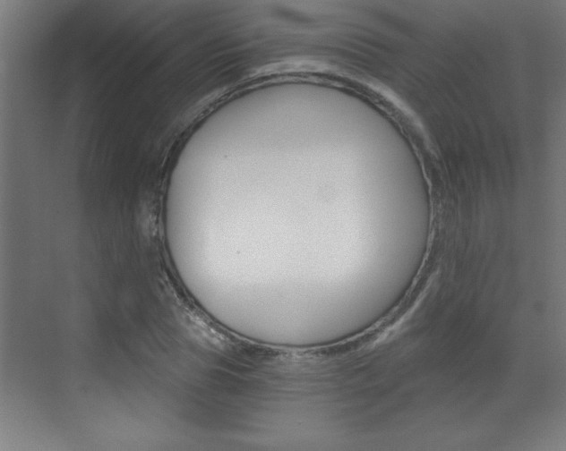 X0000072960929200607211001