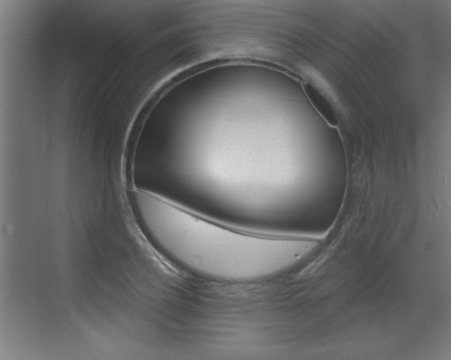 X0000072960932200607211001