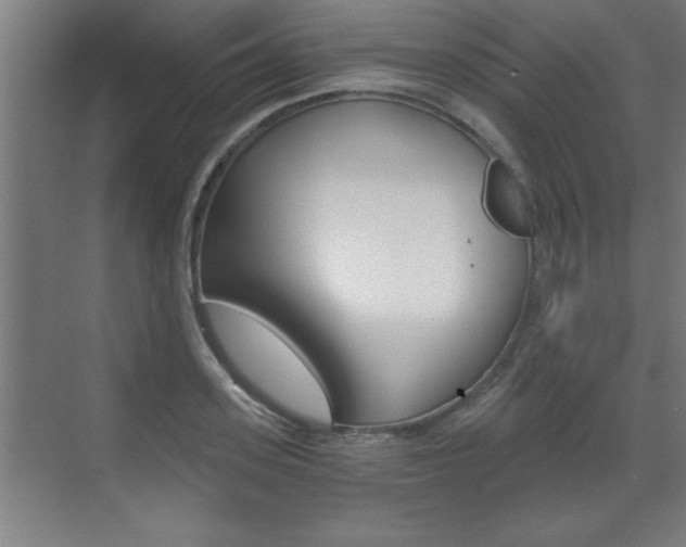 X0000072960939200607211001