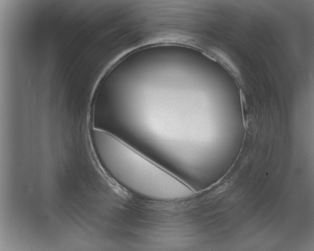 X0000072960948200607211001