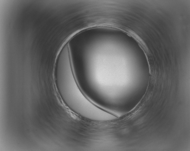 X0000072960956200607211001