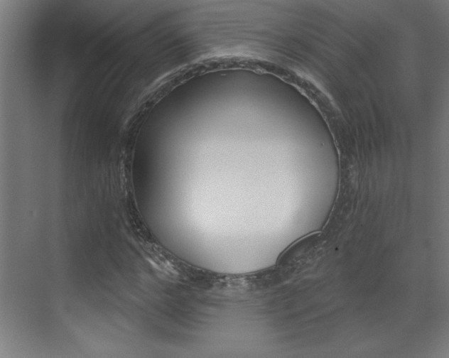 X0000072960968200607211000
