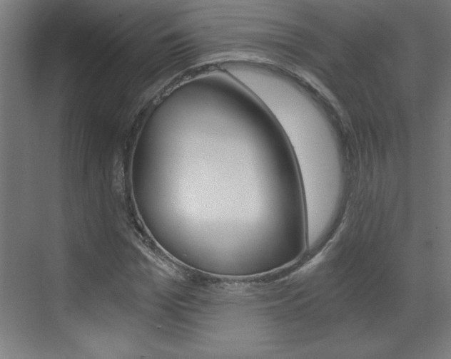 X0000072960969200607211000