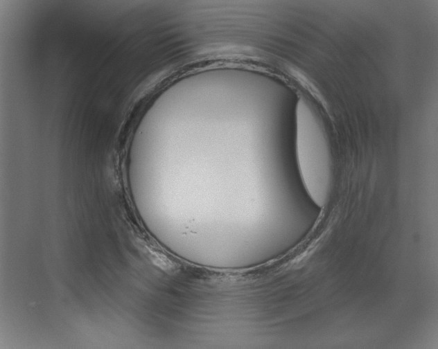 X0000072960970200607211000