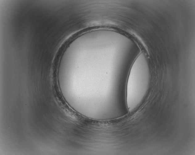 X0000072960975200607211000