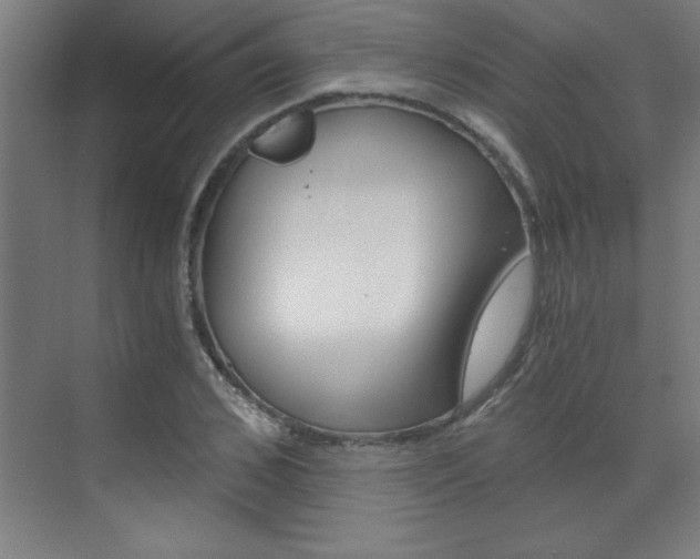 X0000072960976200607211000