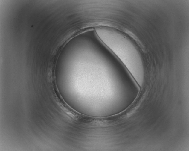 X0000072960977200607211000