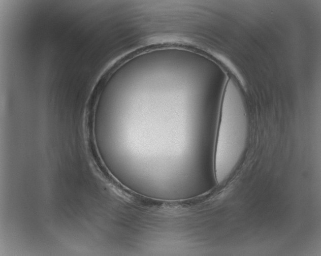 X0000072960983200607211000