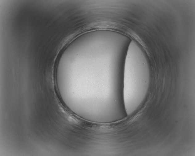 X0000072960986200607211000