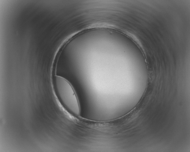 X0000072960995200607211000