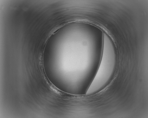 X0000072961001200607211000
