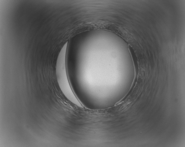X0000072961010200607210959