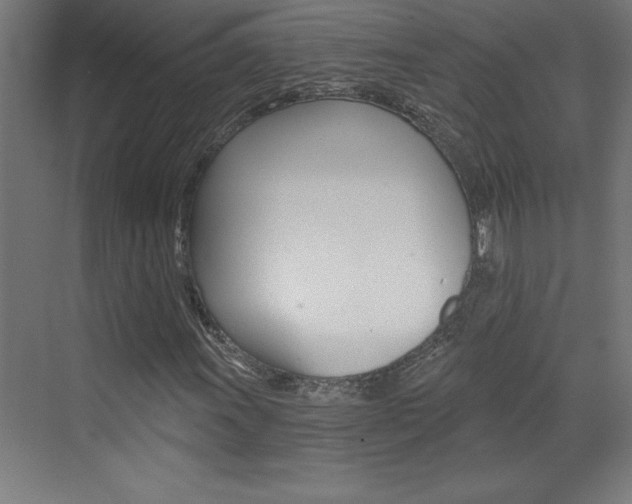X0000072961011200607210959