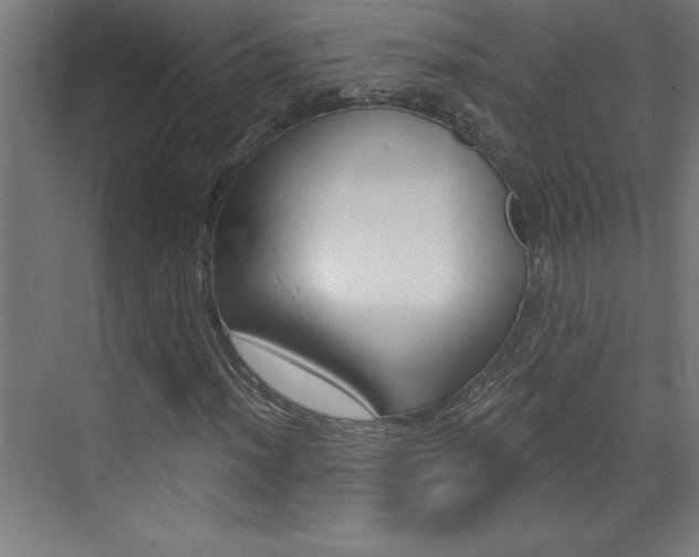 X0000072961012200607210959