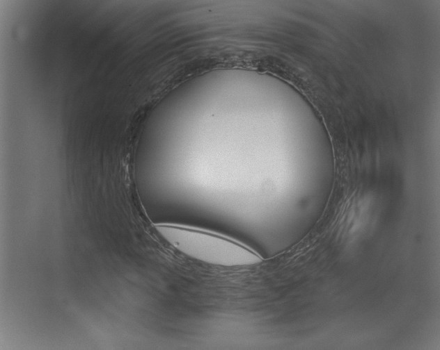 X0000072961013200607210959