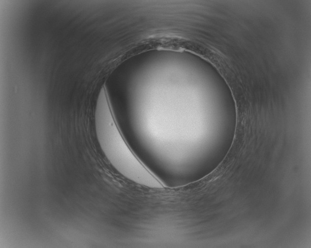 X0000072961014200607210959