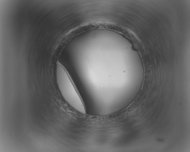 X0000072961016200607210959