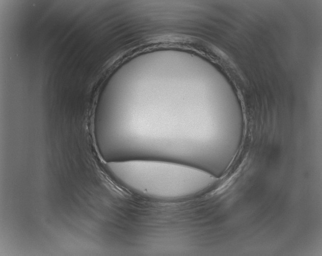 X0000072961017200607210959