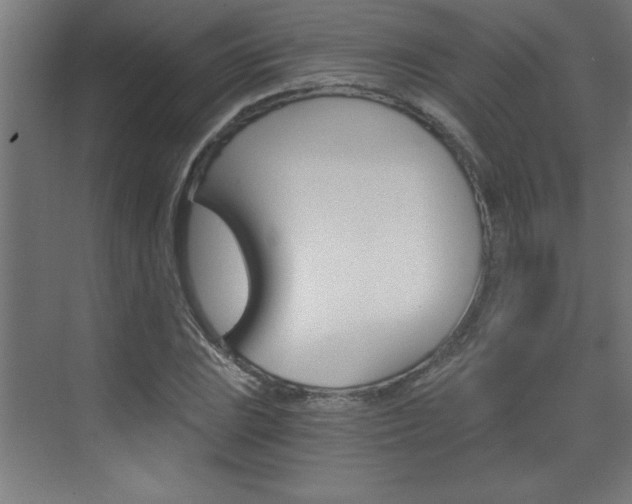 X0000072961023200607210959