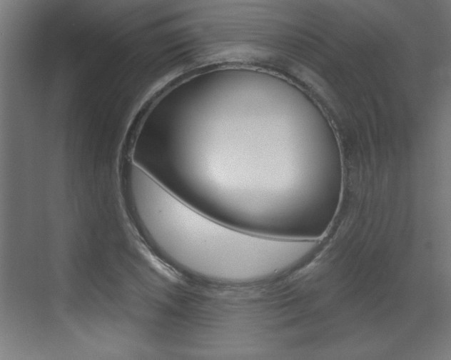 X0000072961026200607210959