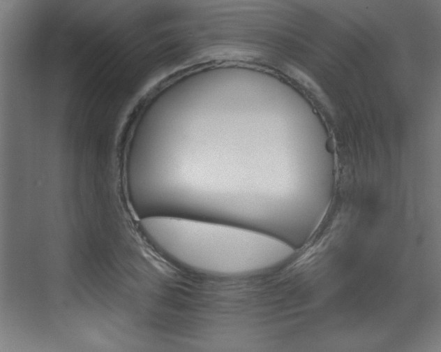 X0000072961027200607210959