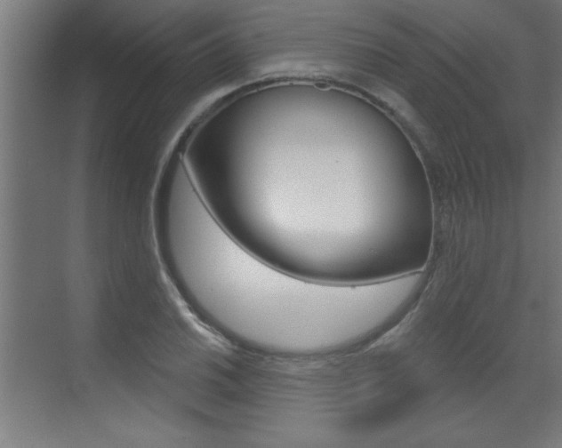 X0000072961030200607210959