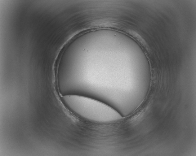 X0000072961031200607210959