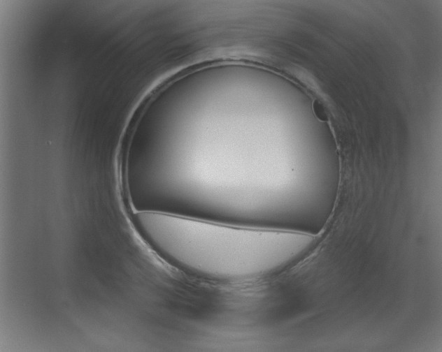 X0000072961032200607210959