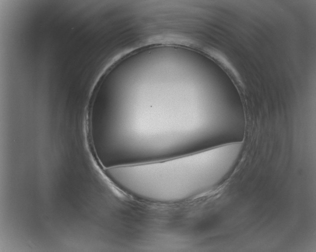 X0000072961040200607210959