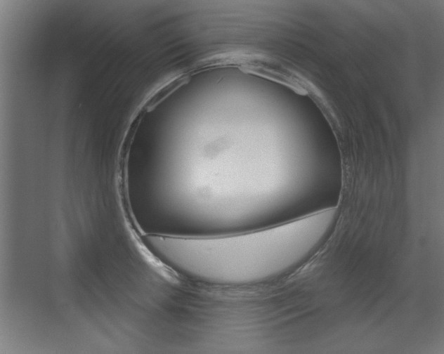 X0000072961042200607210959