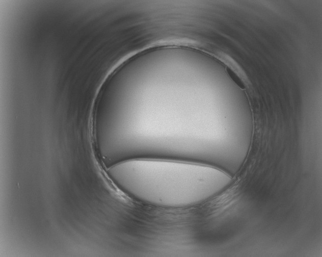 X0000072961044200607210959