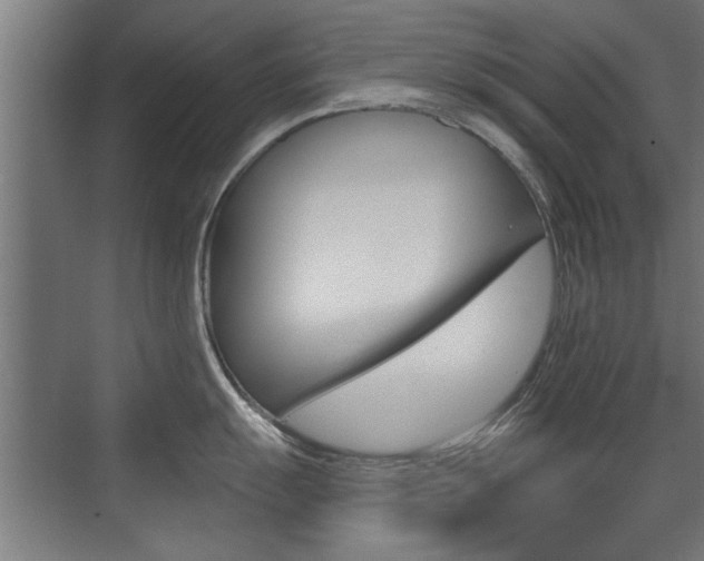 X0000072961055200607211000