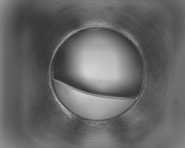 X0000072961056200607211000