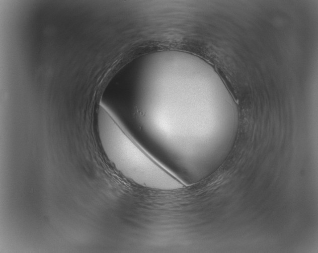 X0000072961057200607210959