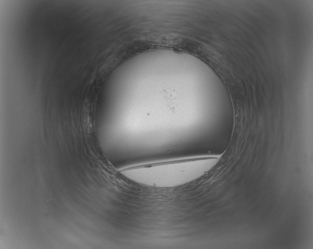 X0000072961058200607210959