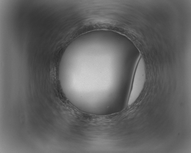 X0000072961061200607210959
