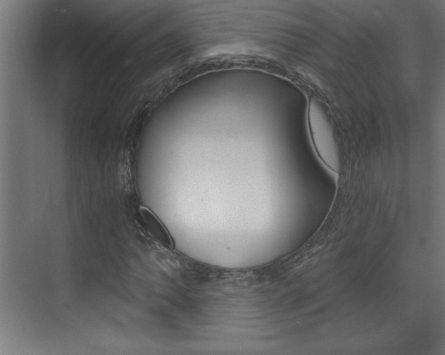 X0000072961062200607210959