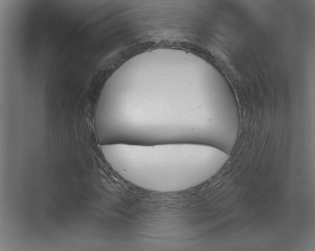 X0000072961063200607210959