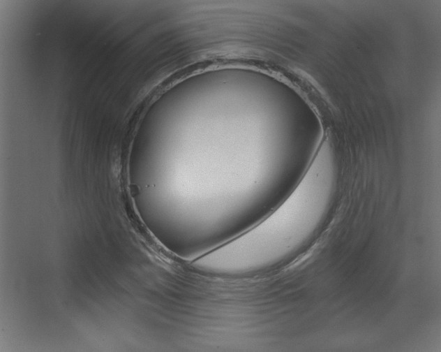 X0000072961065200607210959