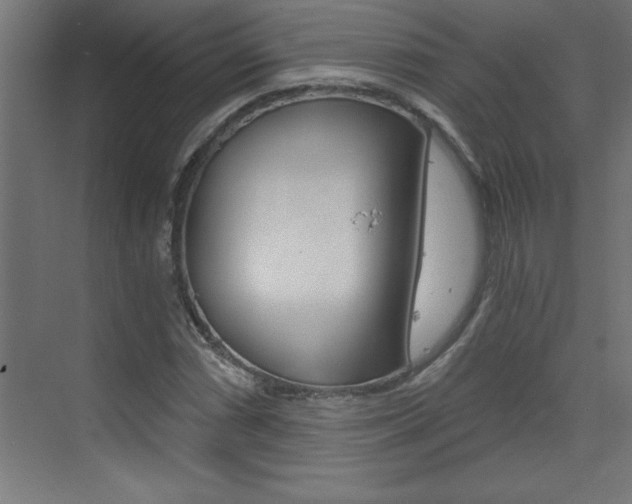 X0000072961066200607210959