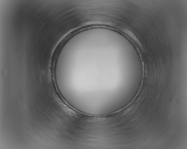 X0000072961068200607210959