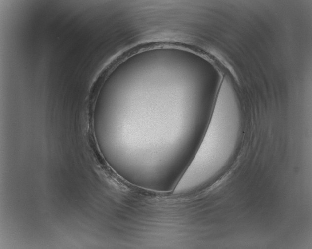 X0000072961069200607210959